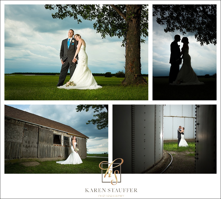 bridal portraits on the farm Lexington, IL Country Wedding , Lexington Community Center