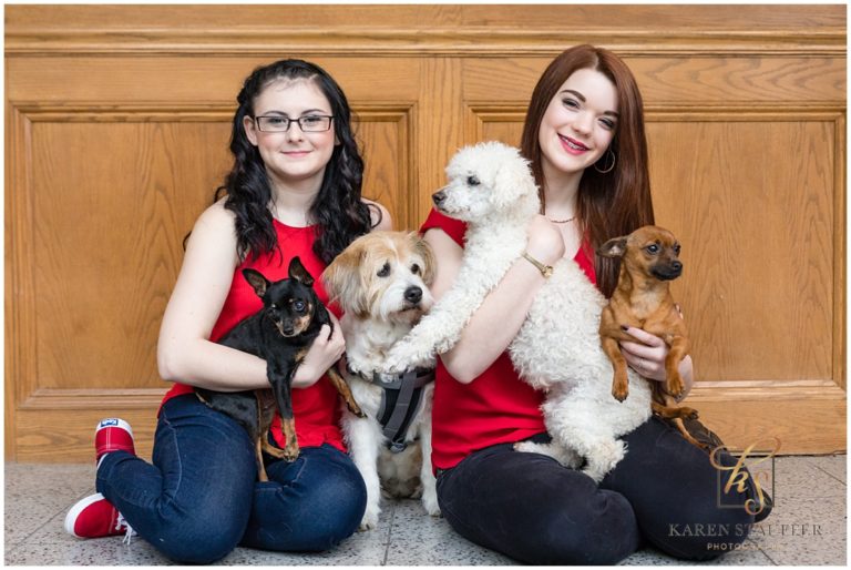 My Loveable Angels | Helping foster dogs find a home